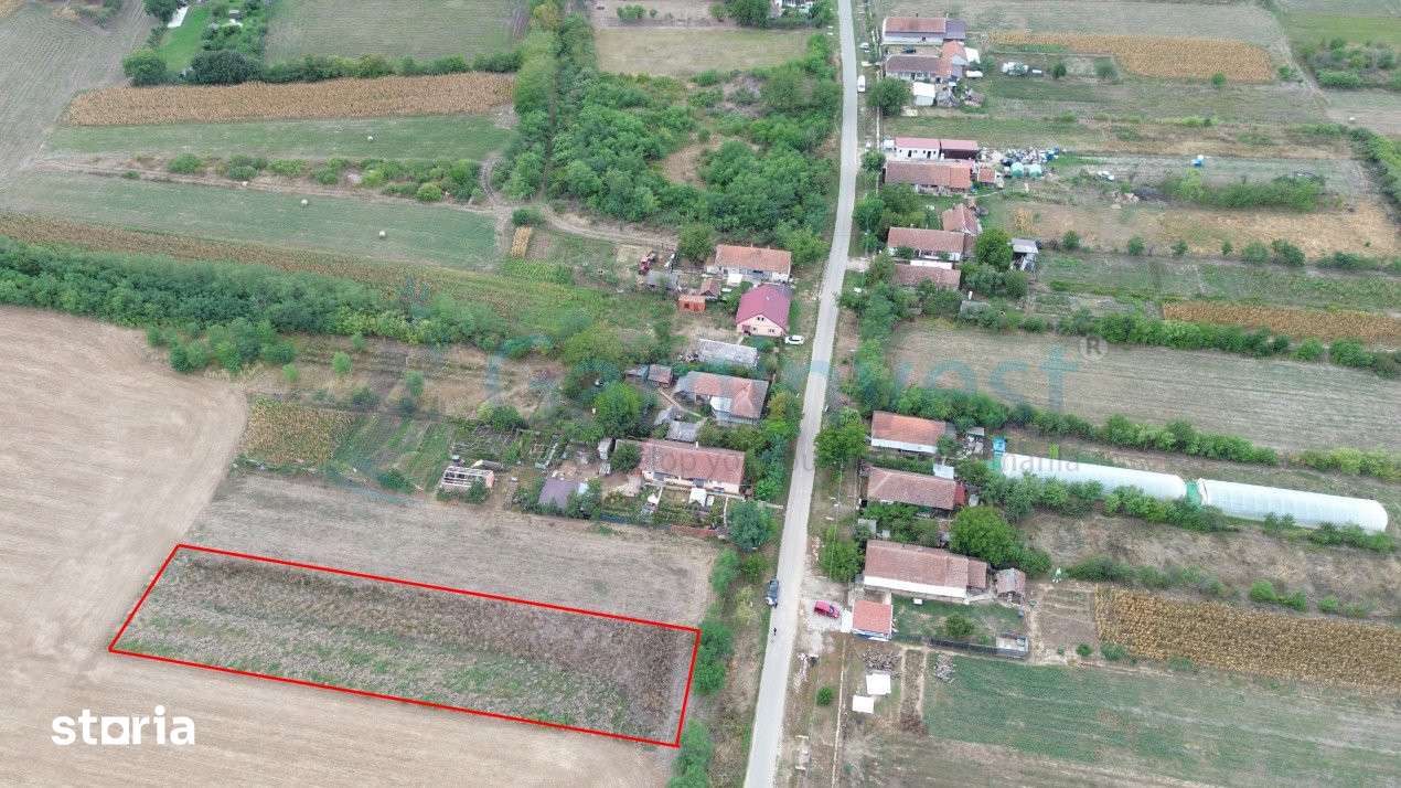 Teren intravilan de vanzare, Bihor, V4116, Gaminvest - Imagine principală: 2/11