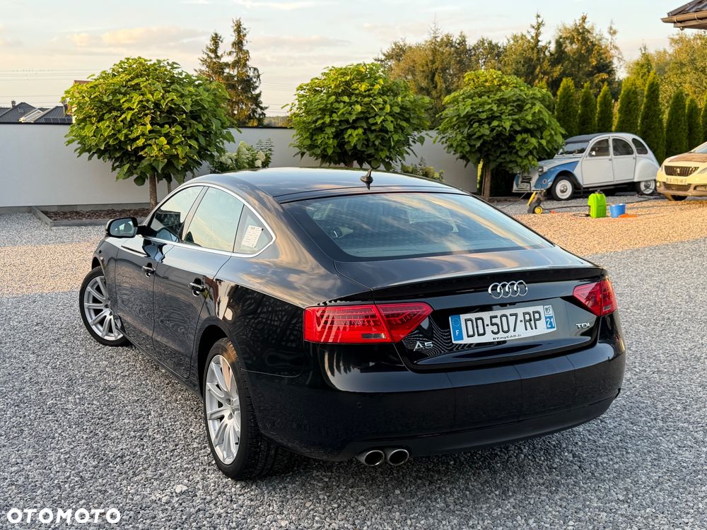 Audi A5 Sportback 2.0 TDI DPF multitronic - 15
