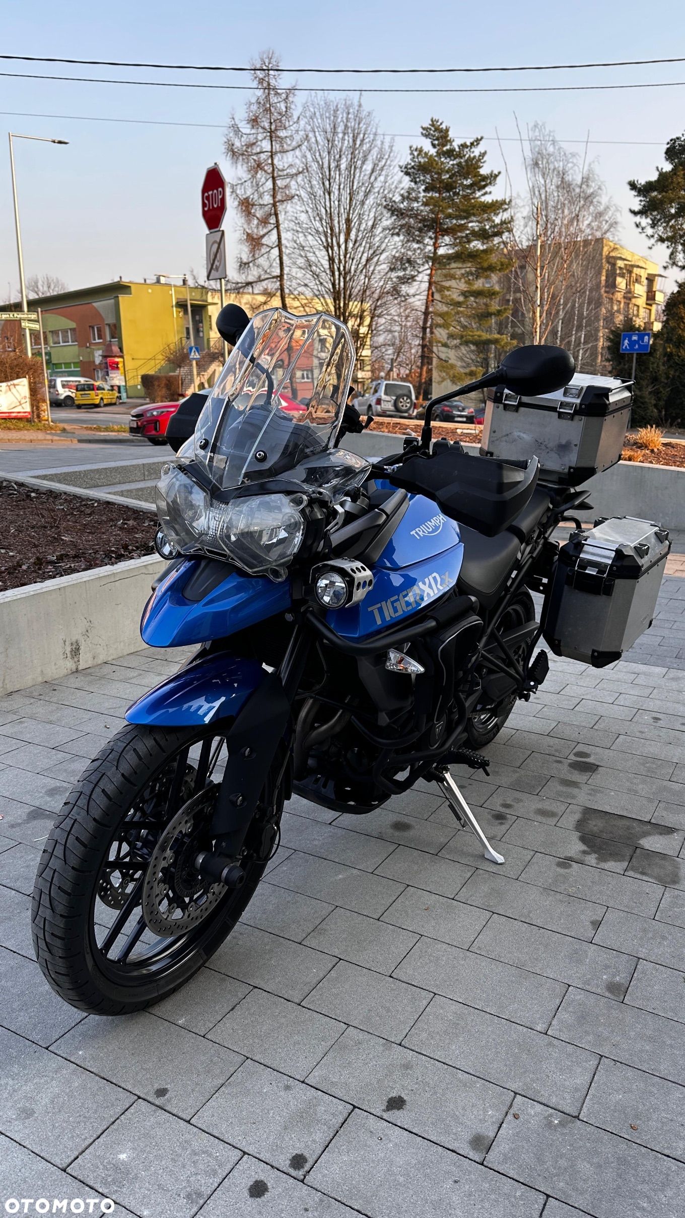 Triumph Tiger - 1