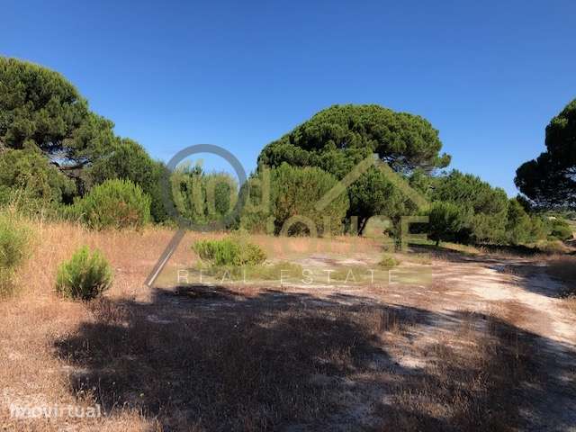 Vende-se terreno com 29.5 ha - Grande imagem: 3/11