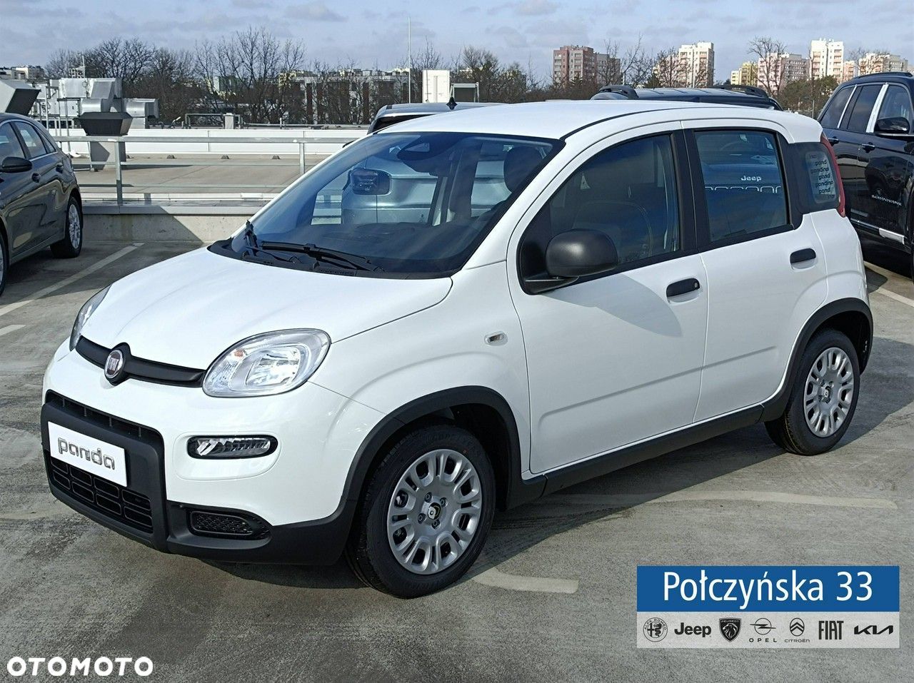 Fiat Panda - 1