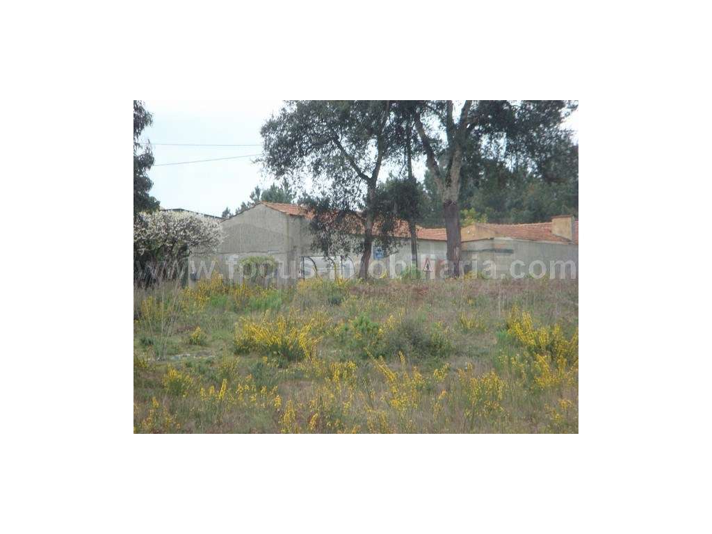 Terreno para venda Amoreira da Gândara - Grande imagem: 2/3