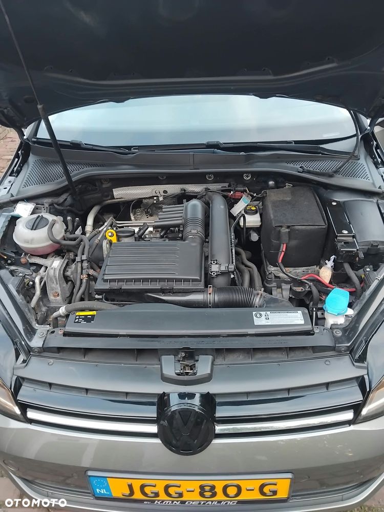 Volkswagen Golf - 8