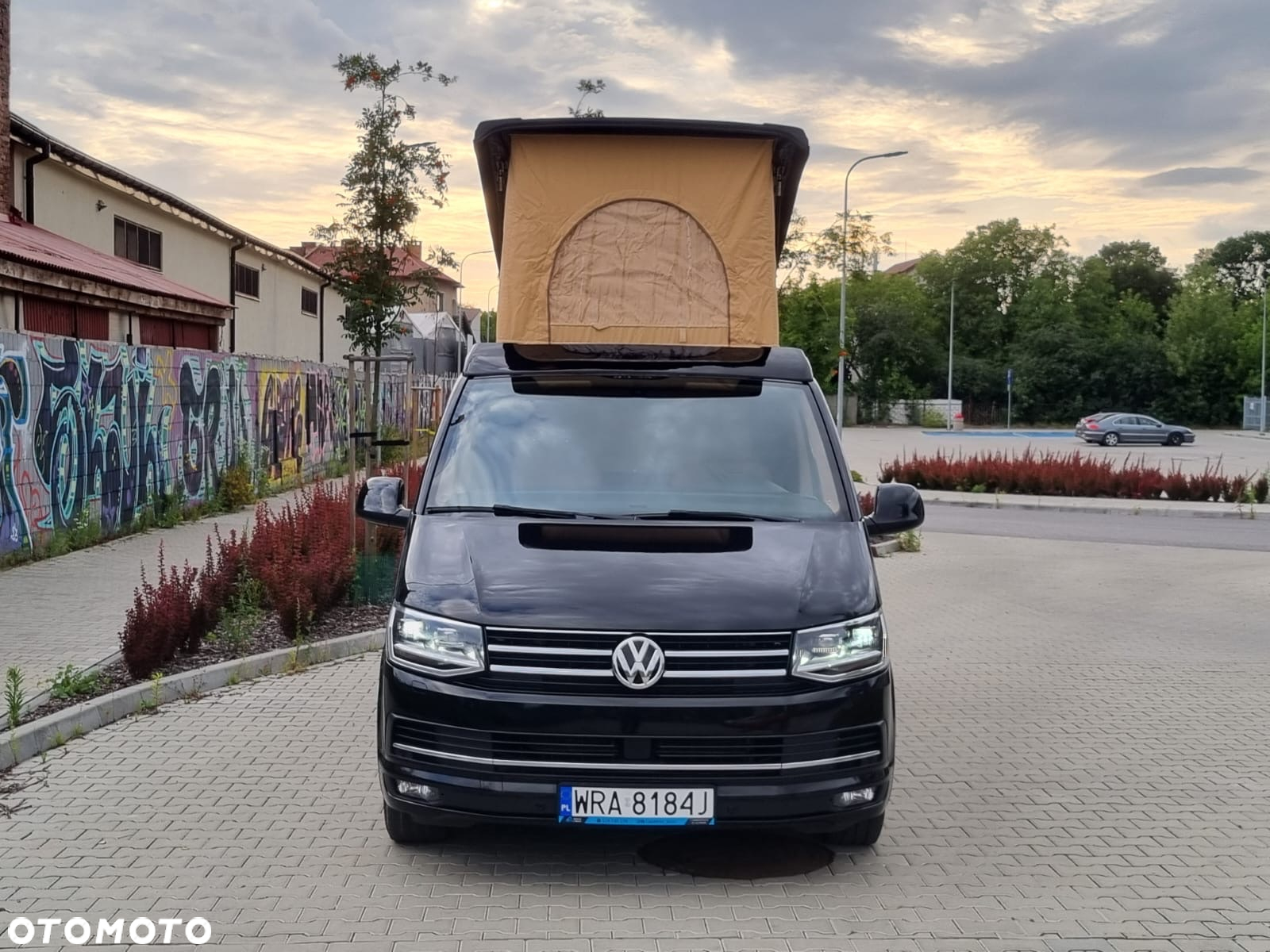 Volkswagen T6 transporter - 3