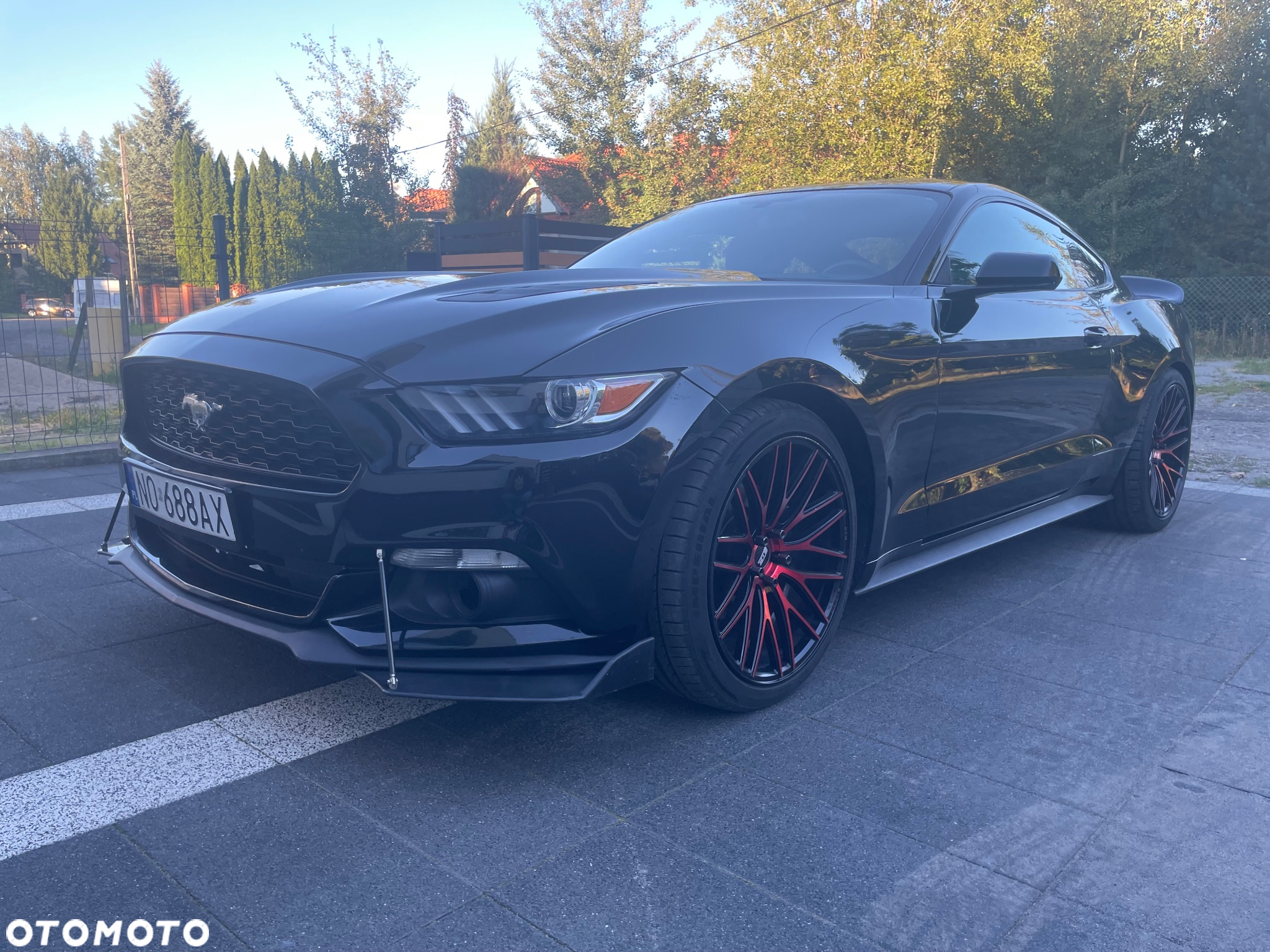 Ford Mustang 2.3 EcoBoost - 2