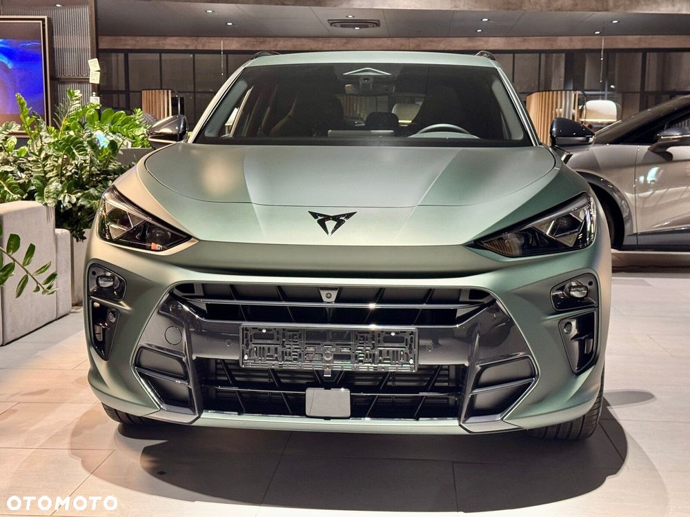 Cupra Terramar 2.0 TSI 4Drive Tribe Edition DSG - 10