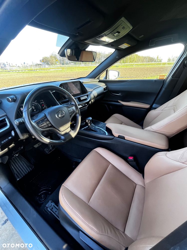 Lexus UX 250h GPF F Sport 2WD - 17