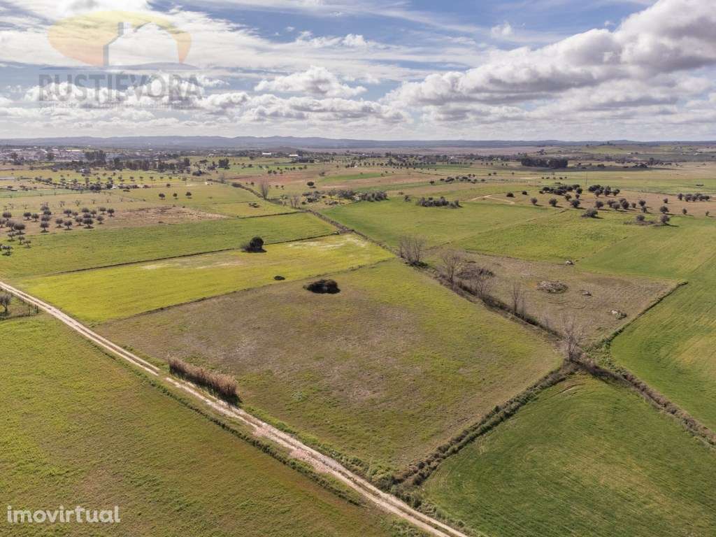 Terreno agrícola com 1,4125 ha a 15 minutos de Évora - Grande imagem: 5/13