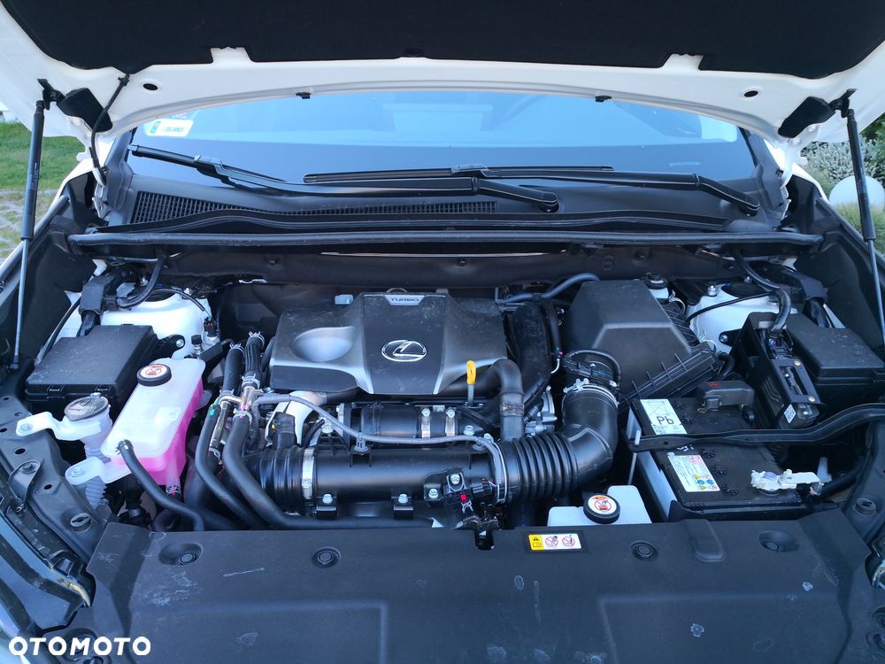 Lexus NX 300 Optimum AWD - 6