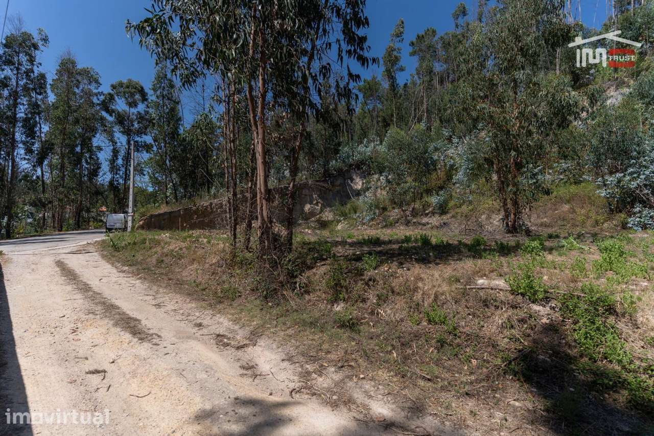 Terreno no centro de Caxarias com 769,77 m2 - Grande imagem: 5/11
