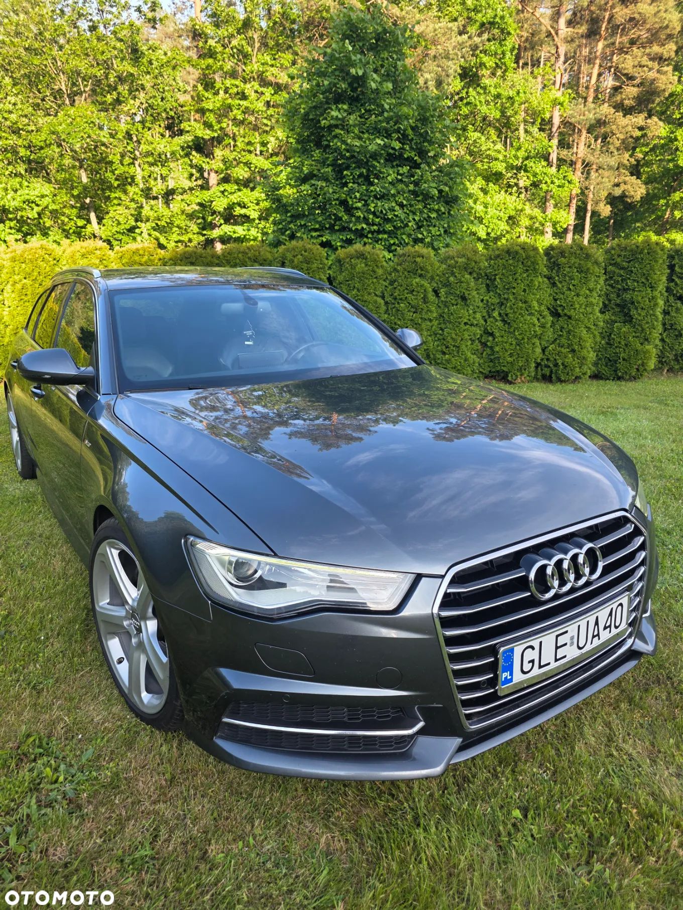 Audi A6 2.0 TDI ultra S tronic - 1