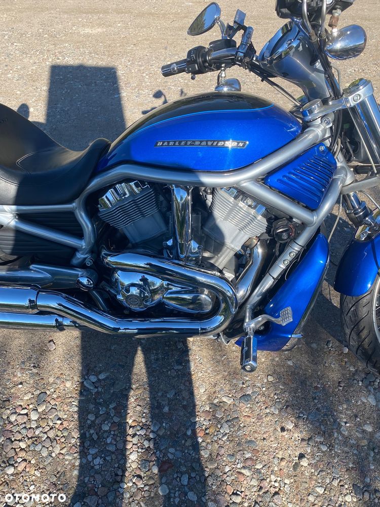 Harley-Davidson Softail V-Rod - 5