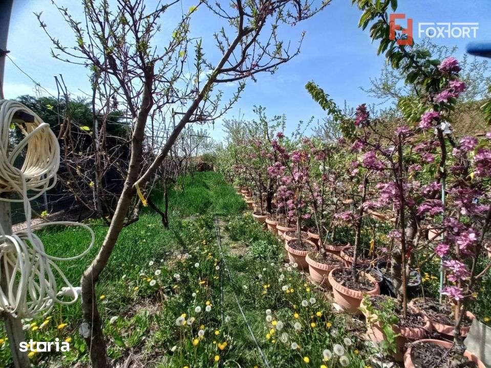 Casa individuala | 5 camere | Teren generos 805 mp | Giarmata Vii - Imagine principală: 5/8