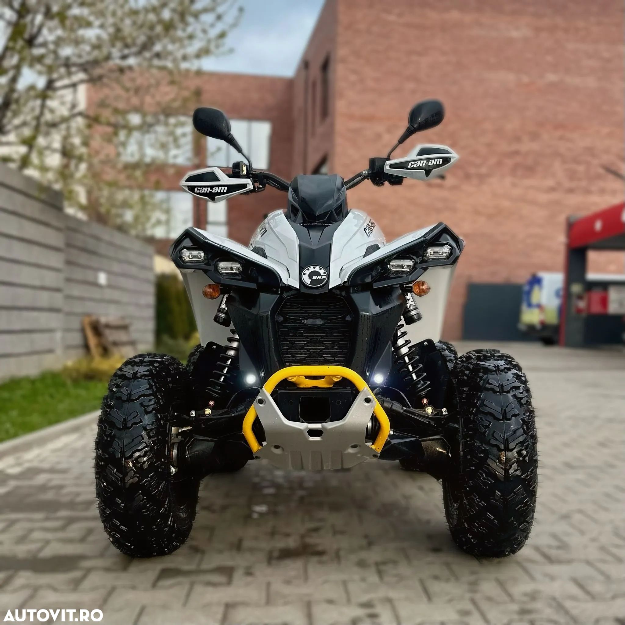 Can-Am Renegade - 1
