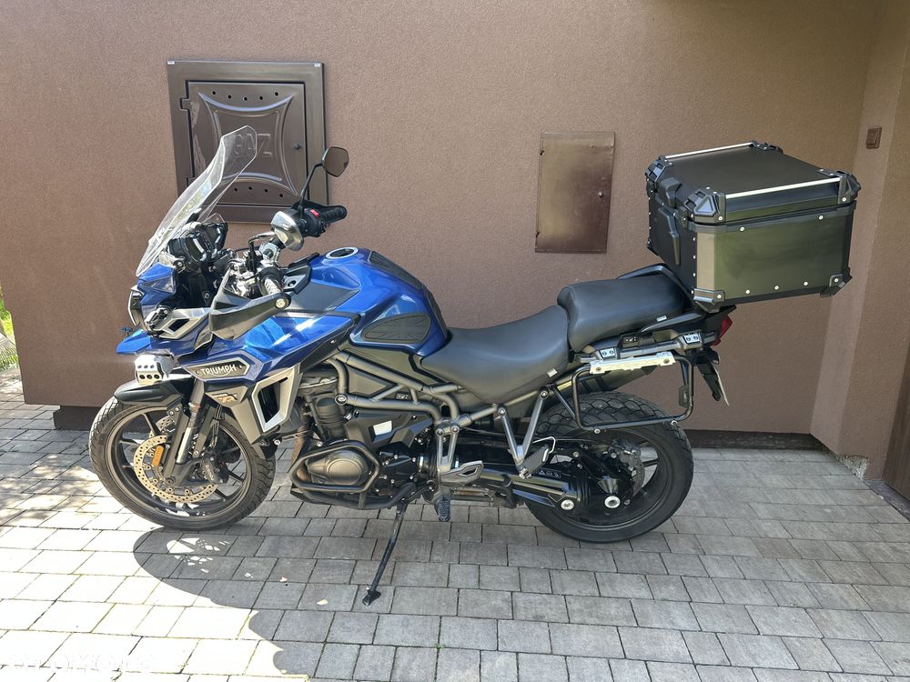 Triumph Tiger - 23