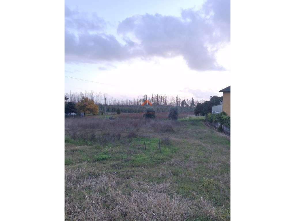 Terreno com construção, 30M de frente - Grande imagem: 3/9