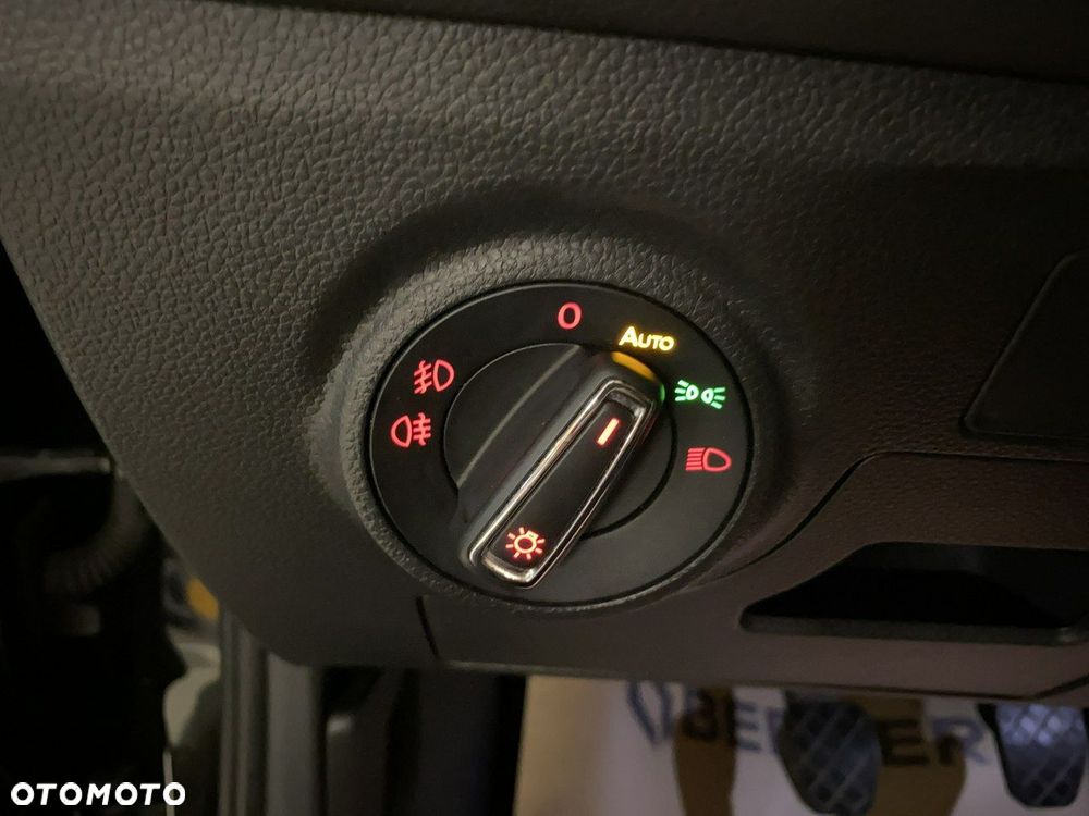 Seat Ibiza - 29