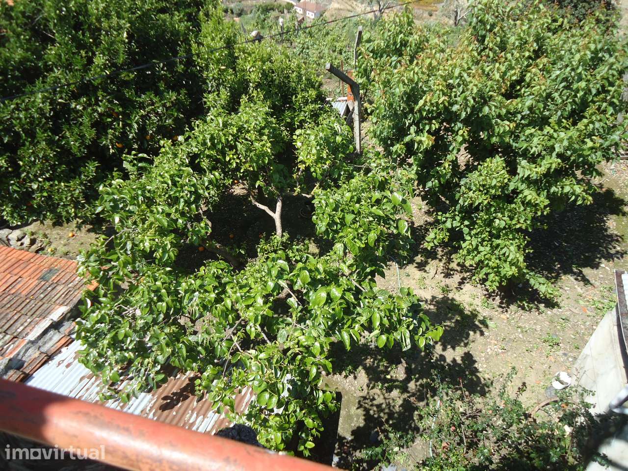 MORADIA PARA RECONSTRUÇÃO COM VISTAS DESLUMBRANTES SOBRE O DOURO - Grande imagem: 2/10