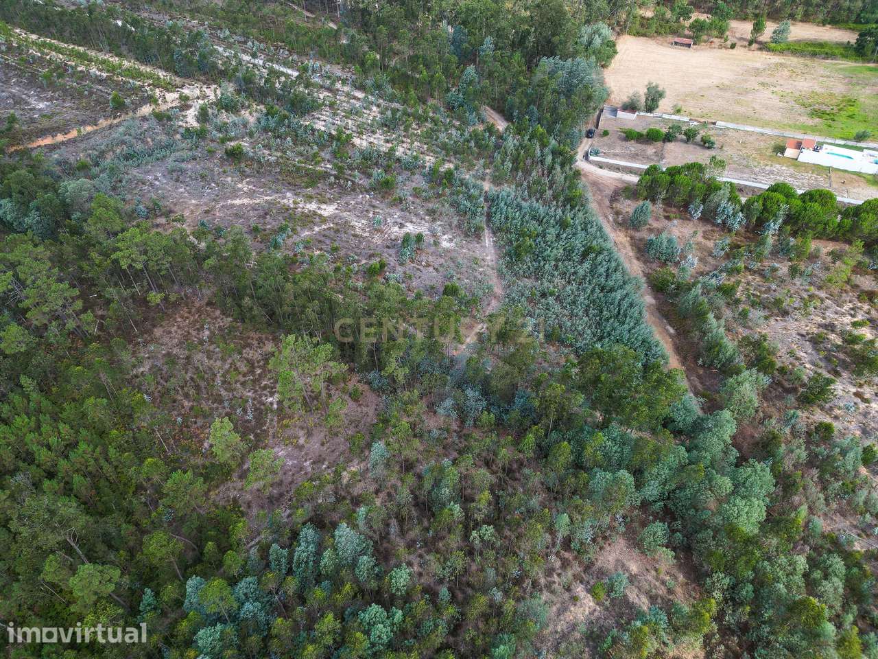 Pinhal com 1.425 m² em Brejal – Cabeça Alta, Seixo de Gatões, Montemor - Grande imagem: 2/13