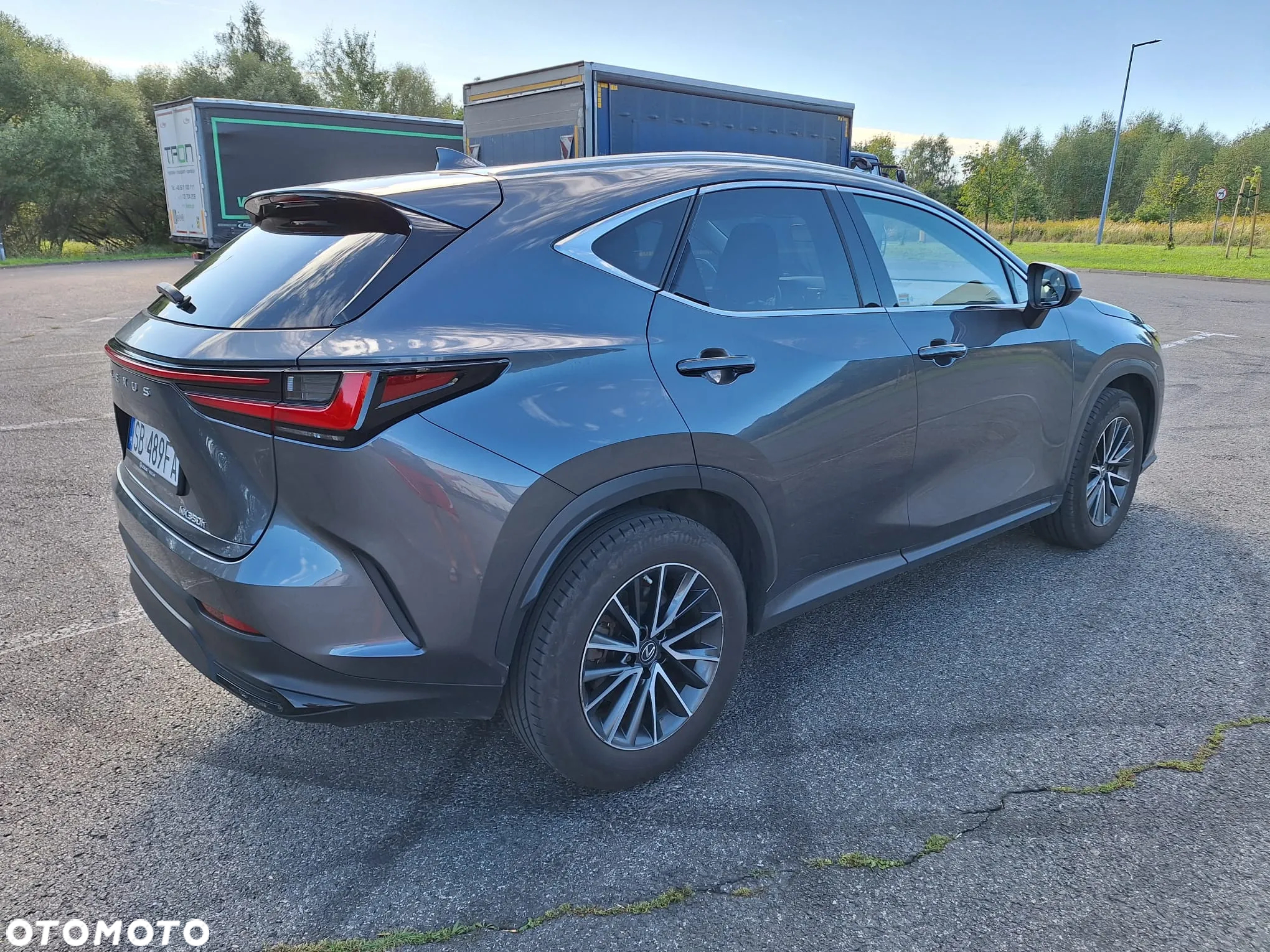 Lexus NX 350h Prestige AWD - 5