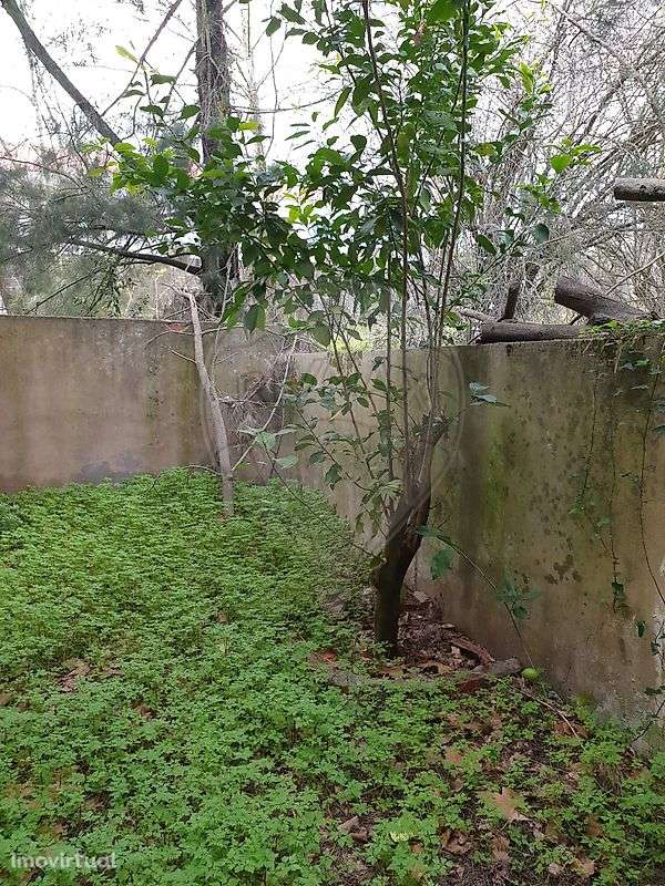 Armazém  para venda - Grande imagem: 2/30