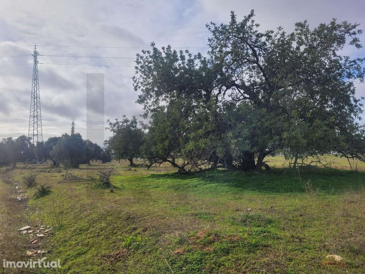 DOIS TERRENOS RÚSTICOS COM O TOTAL DE 12160M2 PARA VENDA EM CORTEZÕES- - Grande imagem: 2/16