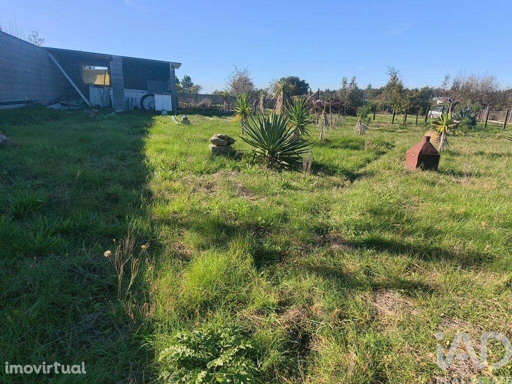 Terreno em Ervedal e Vila Franca da Beira - Grande imagem: 3/40