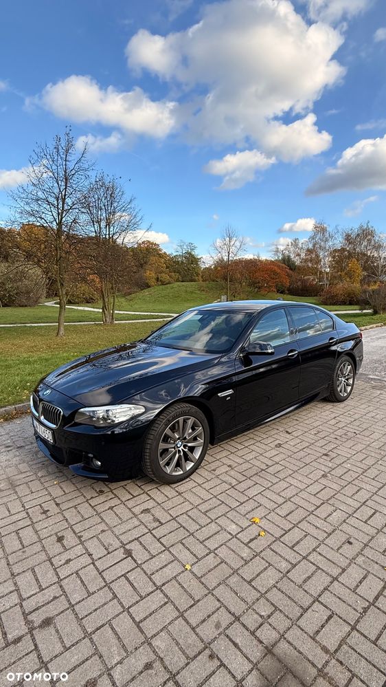 BMW Seria 5 520d Efficient Dynamics Luxury Line - 1