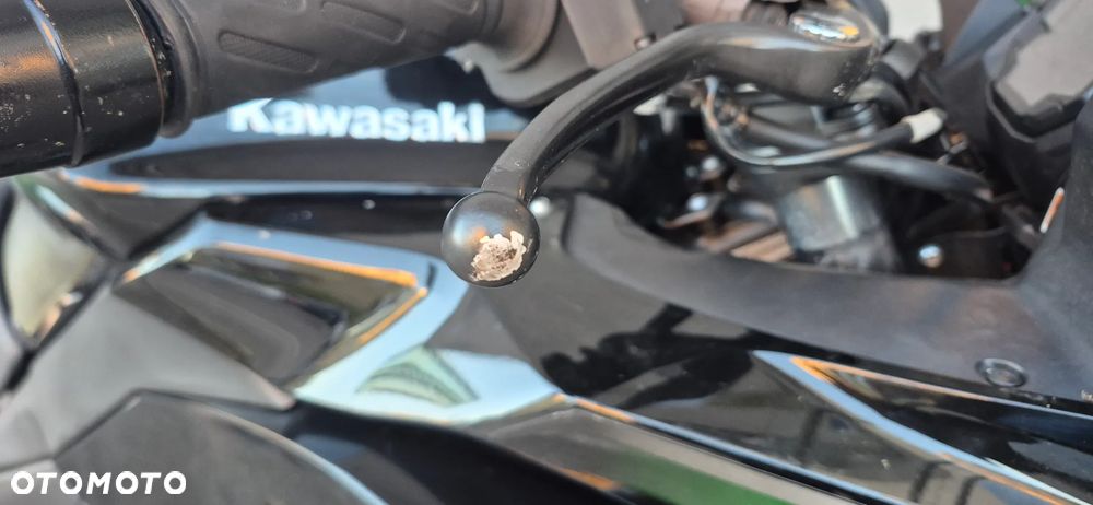 Kawasaki Ninja 1000 SX - 18