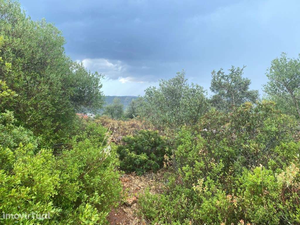 Lote de terreno rústico com a área total de 2400m2, Salir, Algarve - Grande imagem: 2/16