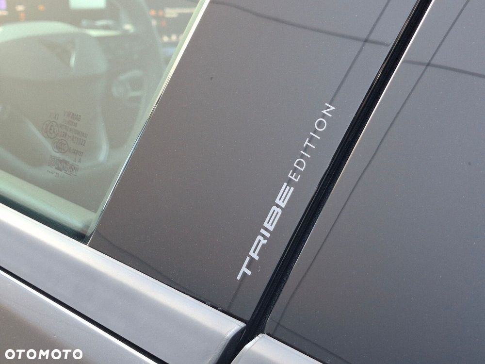 Cupra Terramar 1.5 eTSI mHEV Tribe Edition DSG - 14