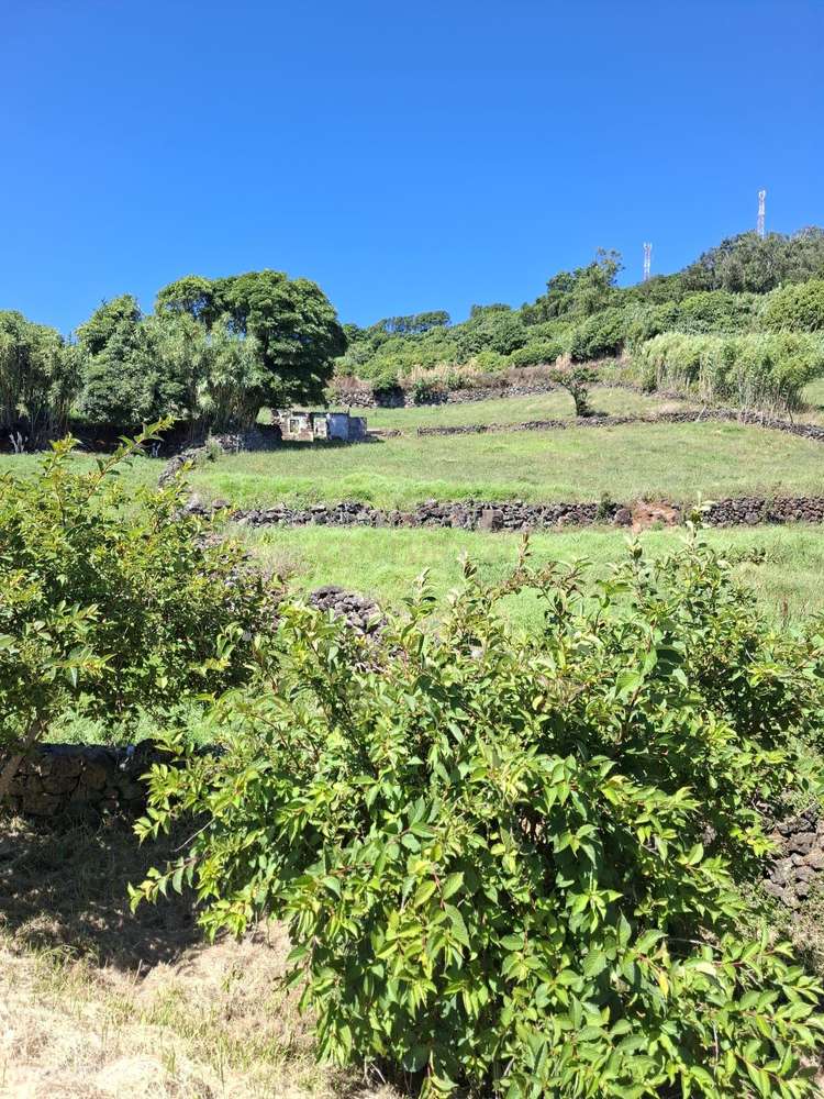 Terreno com 4840 metros quadrados em Vila de São Sebastião, Angra do H - Grande imagem: 3/5