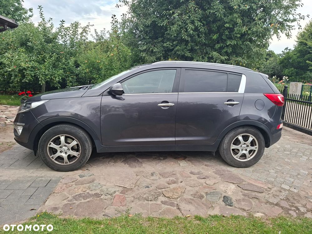 Kia Sportage - 2
