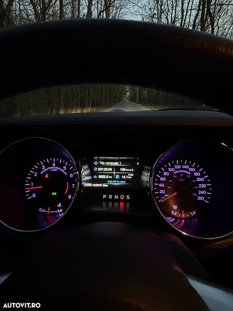 Ford Mustang 2.3 EcoBoost Aut. - 19