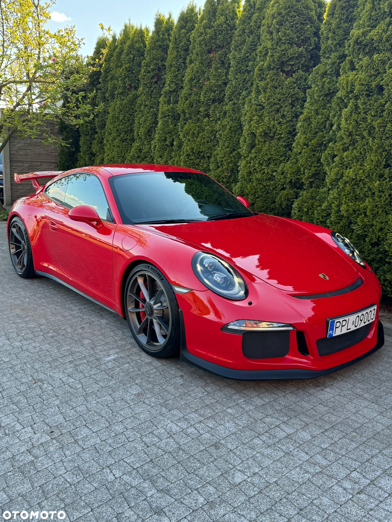Porsche 911 GT3 - 22