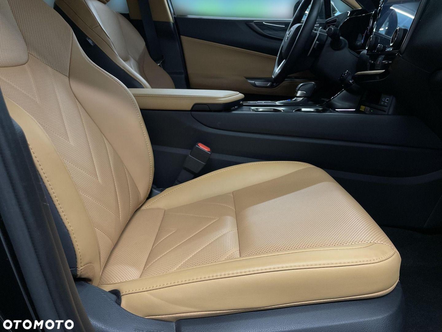Lexus NX - 12