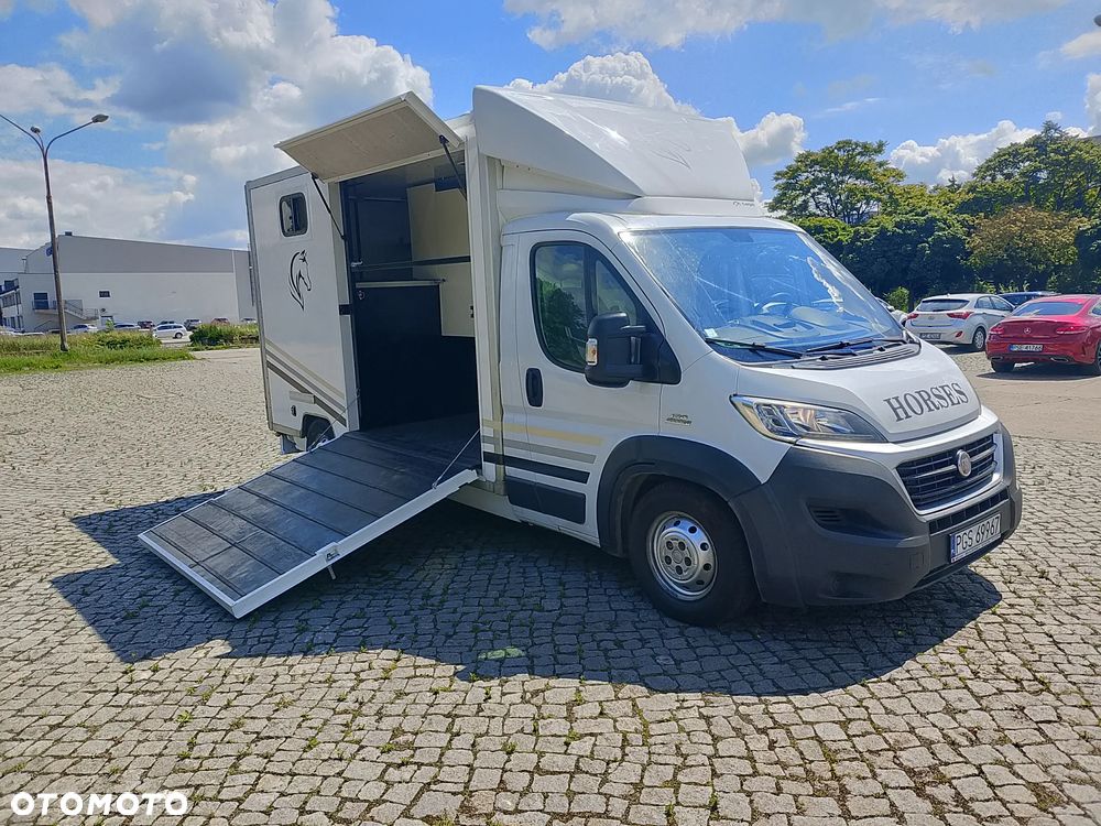 Fiat Ducato Koniowóz - 8
