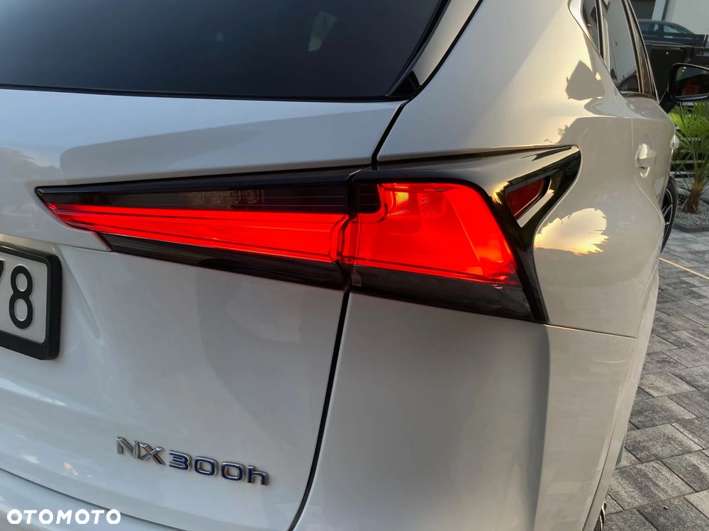 Lexus NX - 15