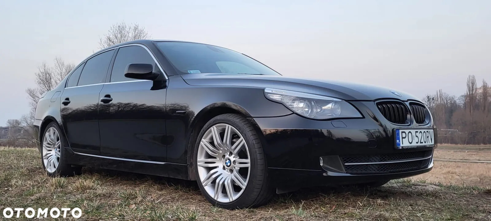 BMW Seria 5 520d - 9