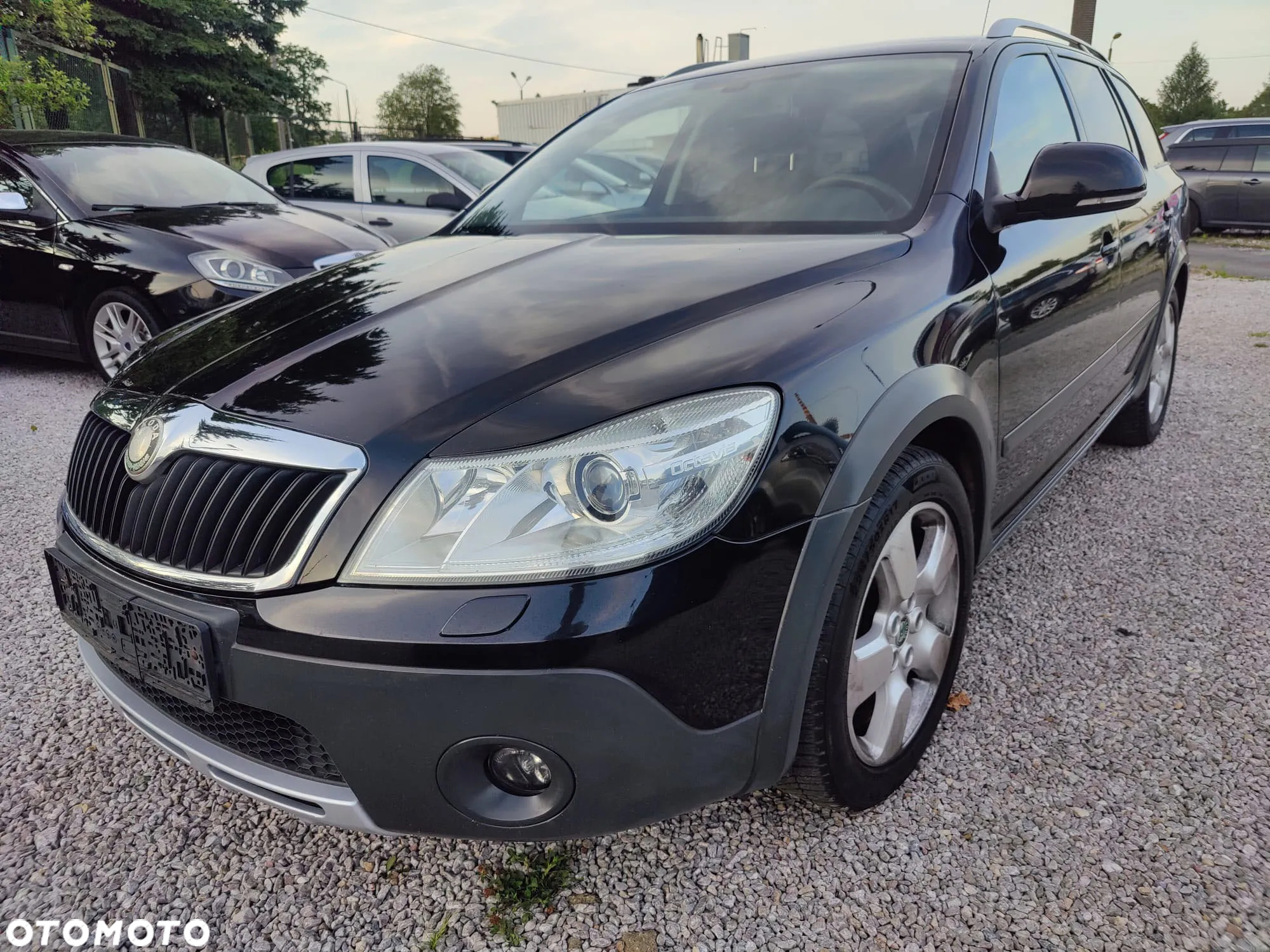 Skoda Octavia - 5