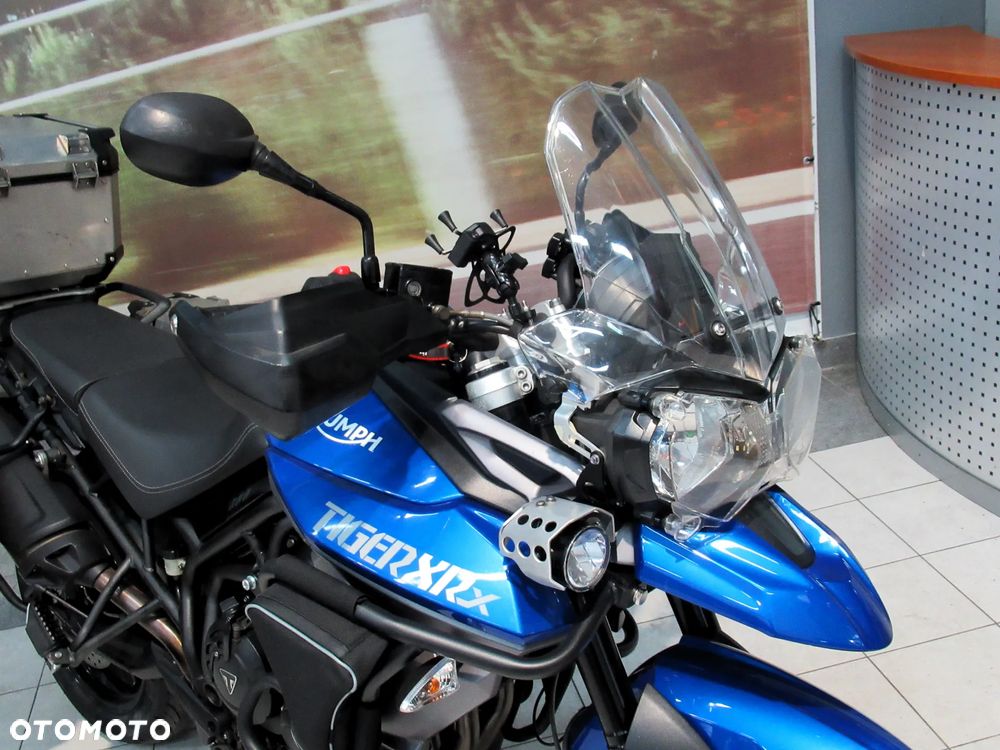 Triumph Tiger - 7