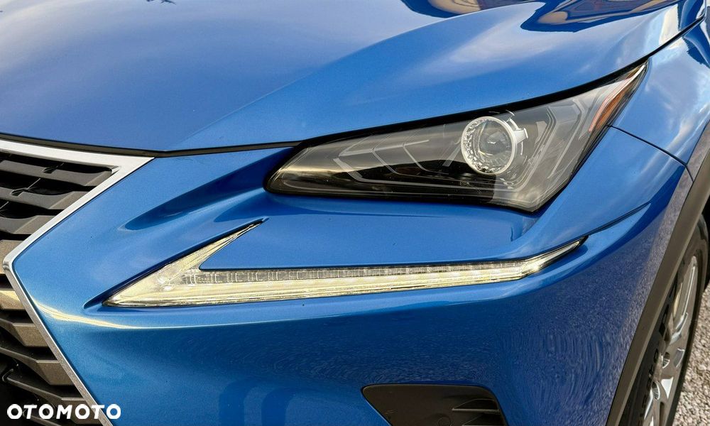 Lexus NX - 17