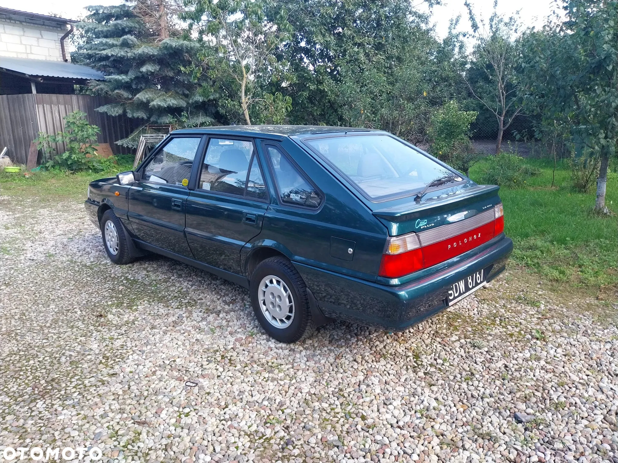 Polonez Caro - 4