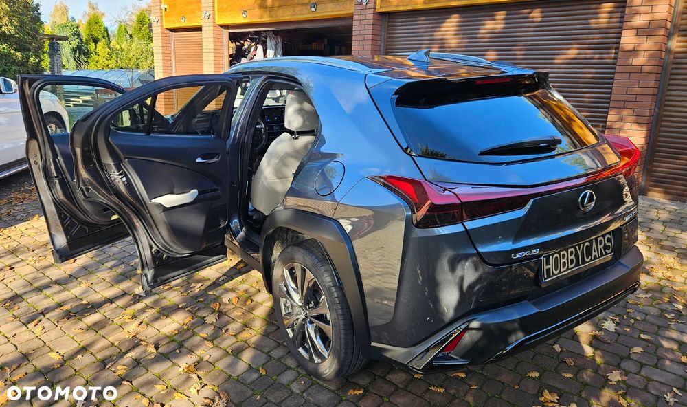 Lexus UX 250h GPF F Sport Design 2WD - 16