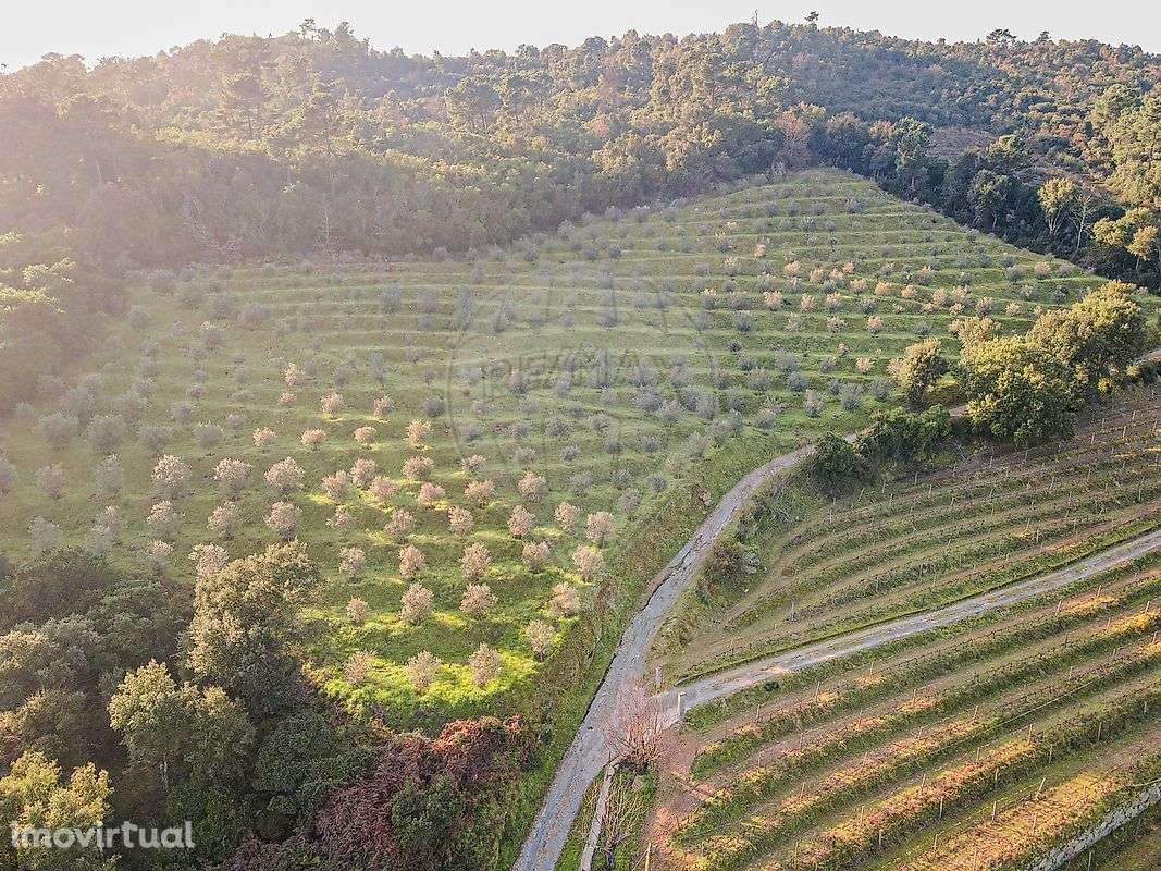 Quinta T3 para venda - Grande imagem: 4/47