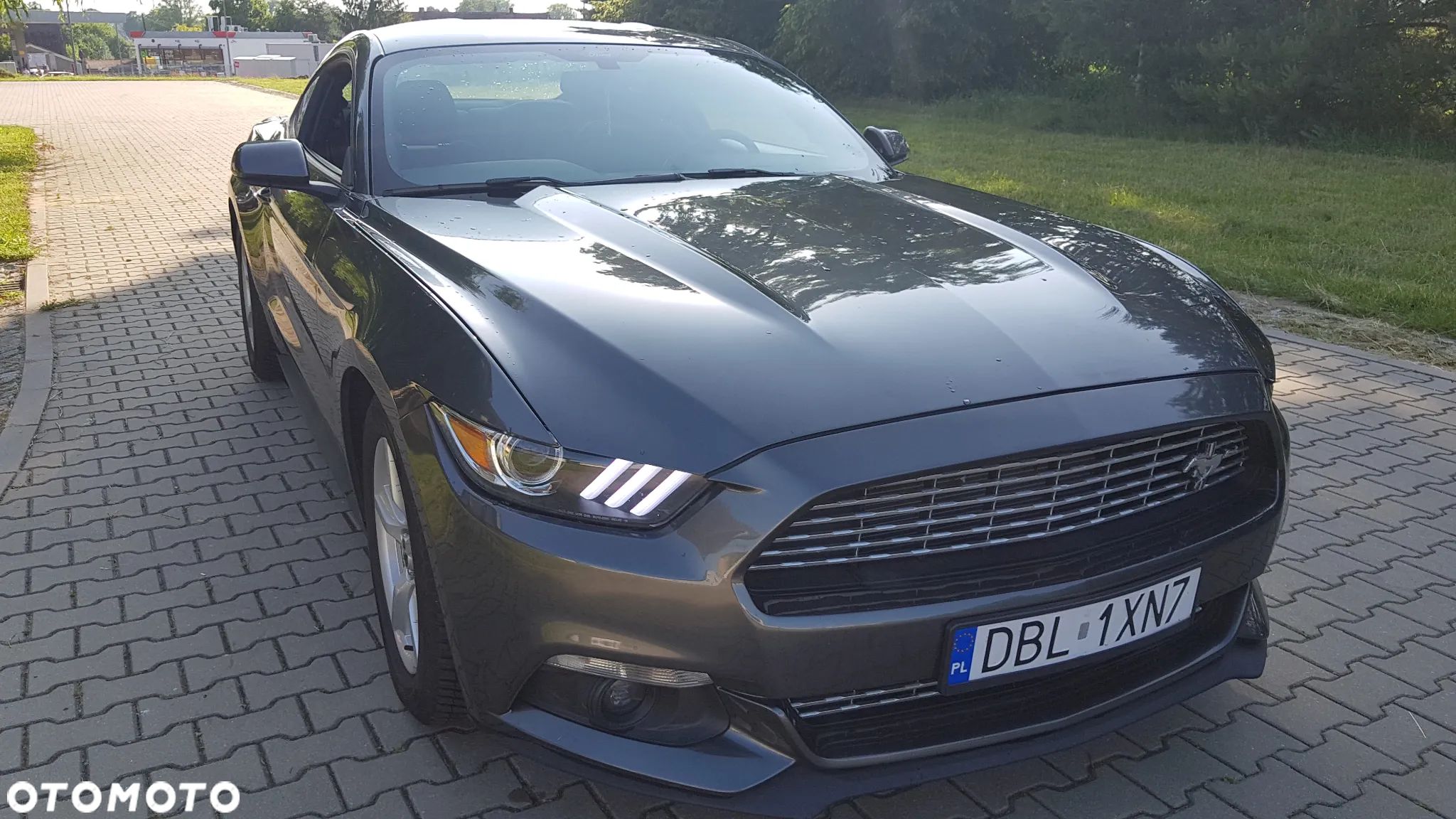 Ford Mustang - 1