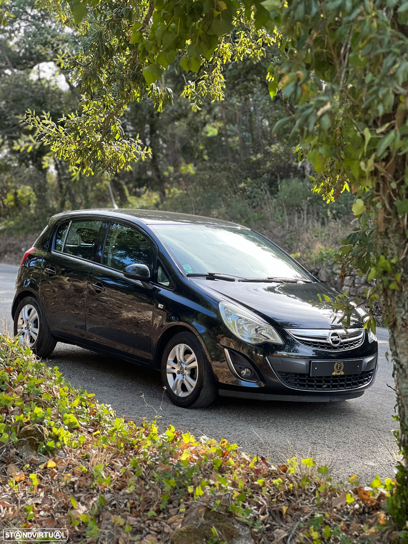 Opel Corsa 1.2 Go! FlexFuel - 2