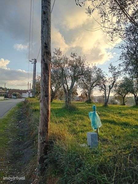 Terreno 747m2 viabilidade 60% de construção na Charneca Alvorge Ansião - Grande imagem: 4/6