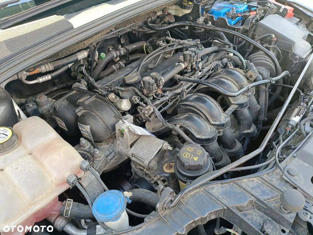 Ford Focus 1.6 Trend - 8