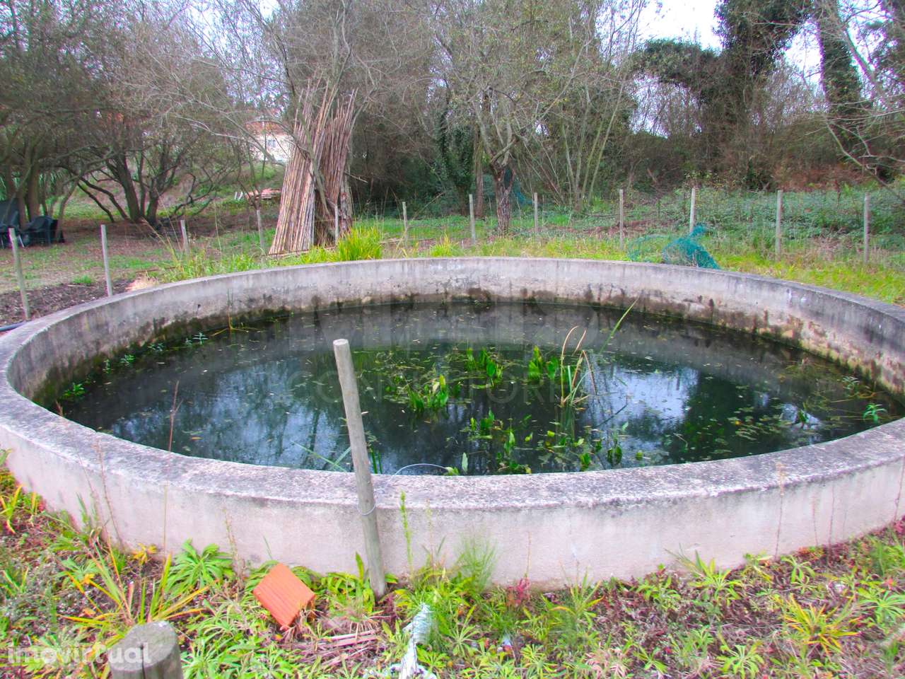 Terreno Misto - 1ha - Torres Vedras - Ramalhal - Grande imagem: 5/7